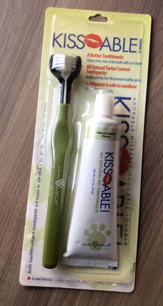 Happy Dog Box Review & 50% Off Coupon - Feb 2014 Toothbrush