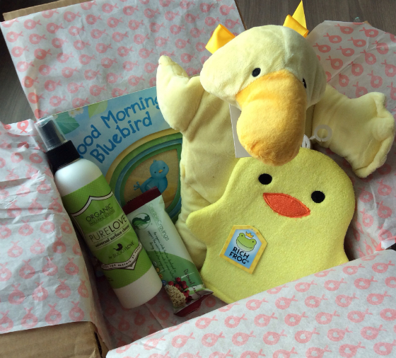 Stork Stack Subscription Box Review - Feb 2014 Item