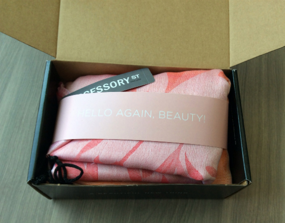 Wantable Accessories Subscription Box Review – Feb 2014 Review