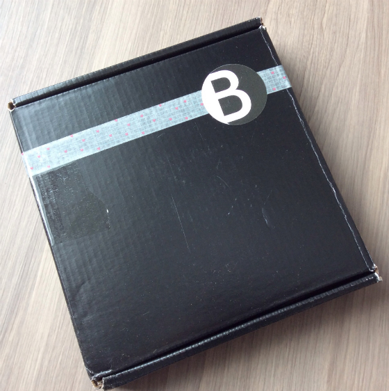  Your Bijoux Box Subscription Review & Coupon – Feb 2014 Box