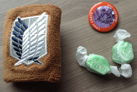 Loot Crate Subscription Box Review - March 2014 Taffy