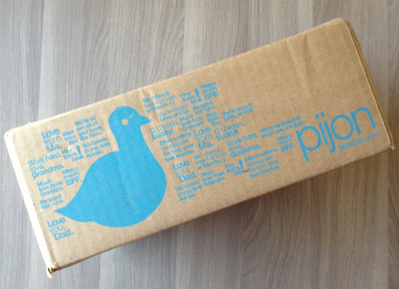  Pijon Box Review March 2014 – College Subscription Box Pijon