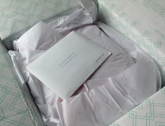 Stitch Fix Review - March 2014 First Look