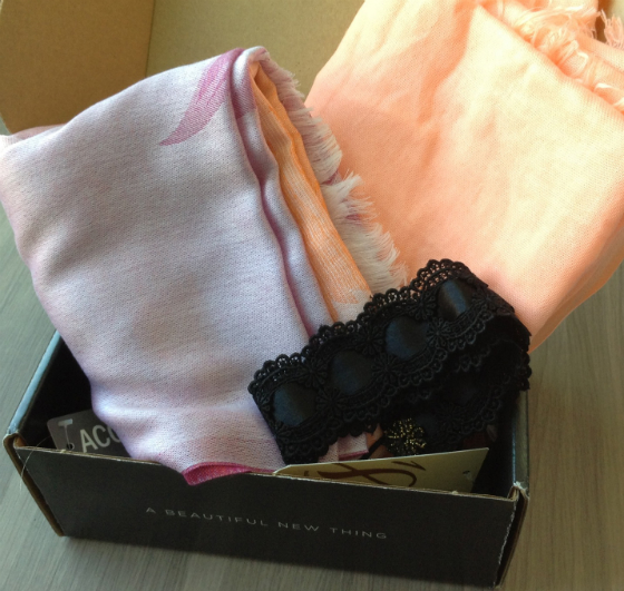Wantable Accessories Subscription Box Review - March 2014 Items