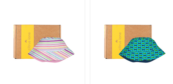 Box Options