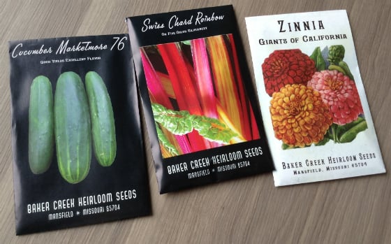 Mama's Got Mail Subscription Box Review - April 2014 Seeds