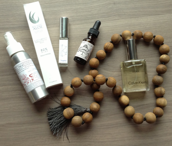  Monthly Express Subscription Box Review - March 2014 Items