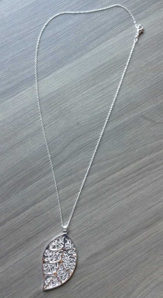 Cate & Chloe Jewelry Subscription Review & Coupon – May Silver Necklace