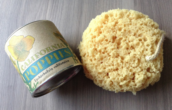 Escape Monthly Subscription Box Review & Coupon - May 2014 Sponge