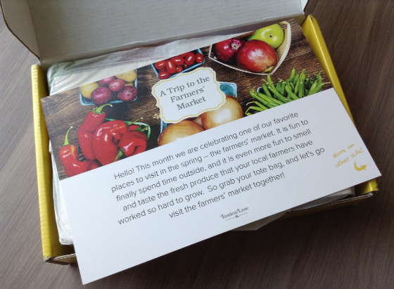 Tandem Lane Subscription Box Review - May 2014 Info