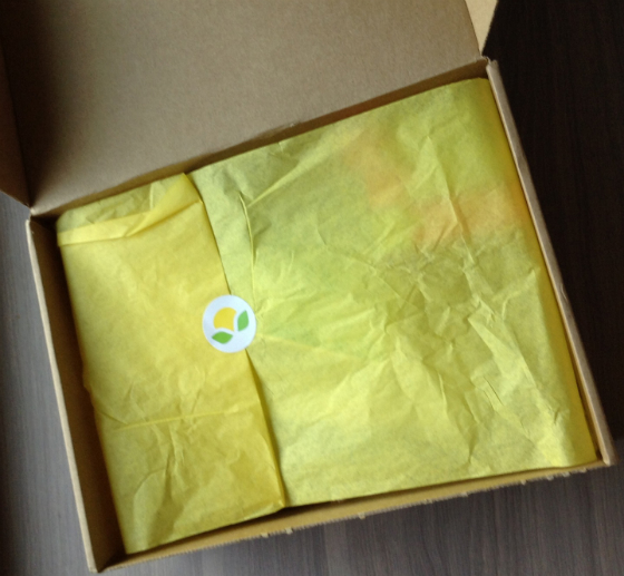Citrus Lane Subscription Box Review & $20 Coupon - June 