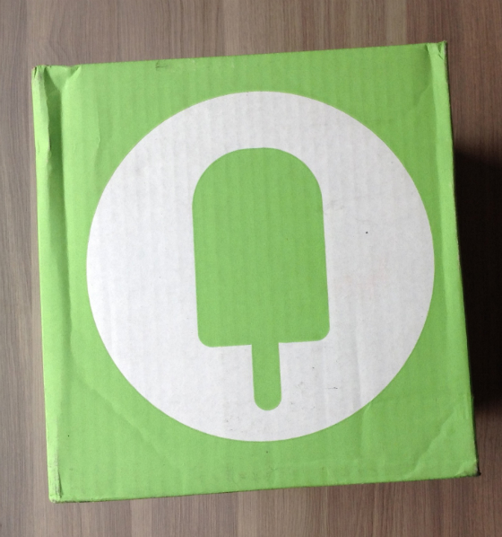 Fancy Box Subscription Review - June 