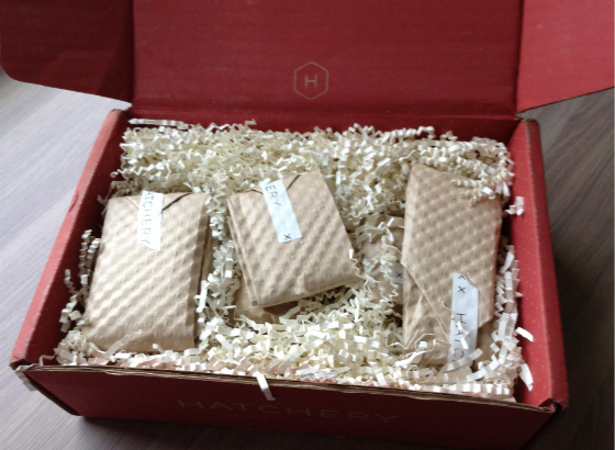 Hatchery Tasting Box Subscription Review – May 2014 Packaging