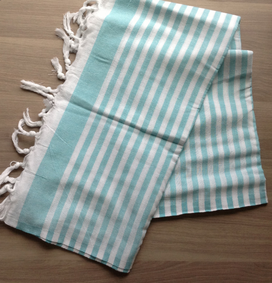 POPSUGAR Must Have Box Review & $10 Coupon - June 2014 Towel