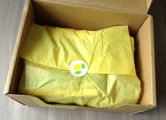 Citrus Lane Subscription Box Review & $20 Coupon – July