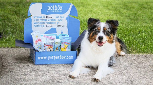 Pet Box on Gilt City
