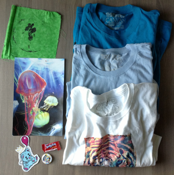 Threaded Canvas T-Shirt Subscription Box Review - June 2014 Items