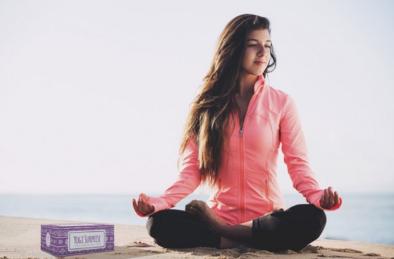 New Subscription Box Alert - Yogi Surprise