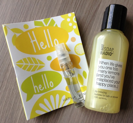 Birchbox Review - August 2014 "The Everygirl Box" Perfume