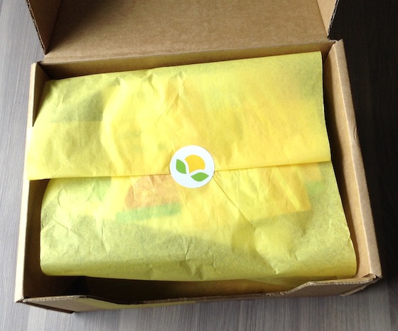 Citrus Lane Review & $20 Coupon Code - August 