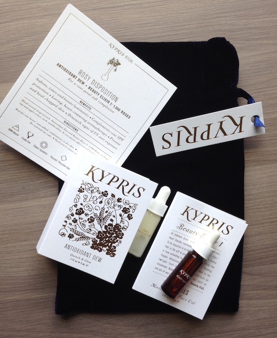 Petit Vour Limited Edition Box Review bag