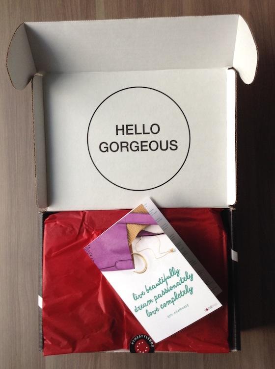 Social Bliss The Style Box Subscription Review – August