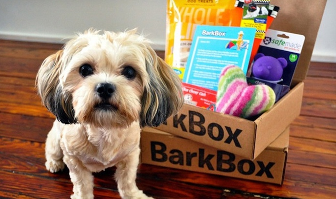 BarkBox On Sale at Groupon!