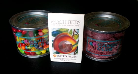 Candy Club Subscription Box Review - August 2014 Gummies