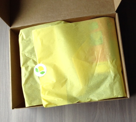 Citrus Lane Review & Coupon Code – September 