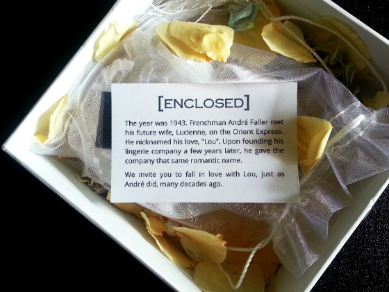 Enclosed Subscription Box Review - September 2014 First Look