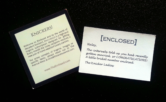 Enclosed Subscription Box Review - September 2014 Knickers