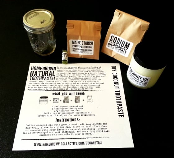 Homegrown Collective Subscription Box Review - August 2014 Ingredients