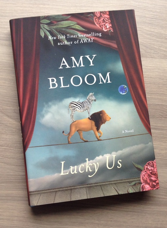 Riot Read Monthly Book Club Subscription Review #RRD03 Amy Bloom