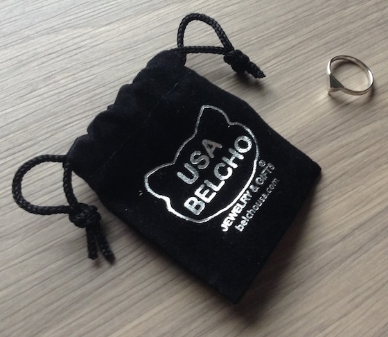 Social Bliss The Style Box Subscription Review – Sept 2014 Ring