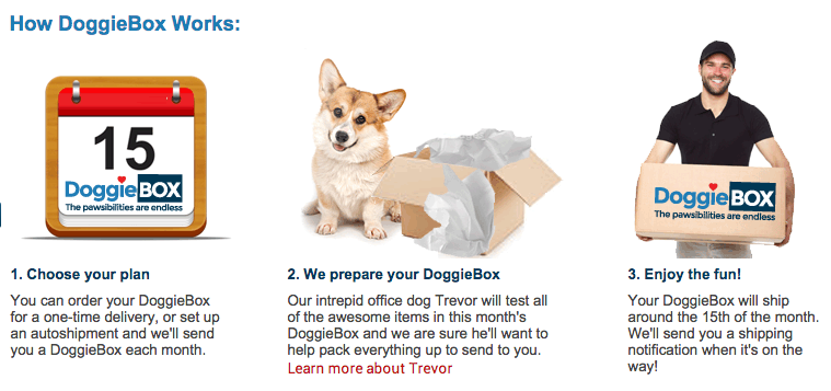 dog.com subscription box
