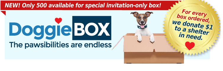 DoggieBox