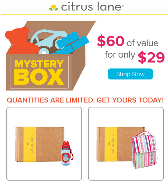 Citrus Lane Mystery Box Time!
