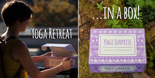 Yogi Surprise November Spoiler #2 & Coupon!