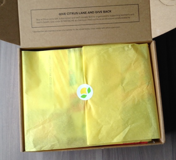 Citrus Lane Review & Coupon Code – October 2014 Box