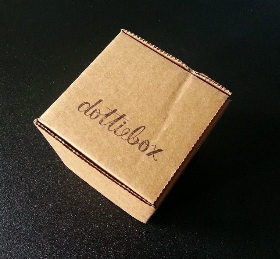 Dottie Box Mini Subscription Box Review – October 2014 Box