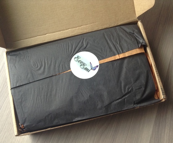 Eco Emi Deluxe Beauty Box Subscription Review - October 2014 First look