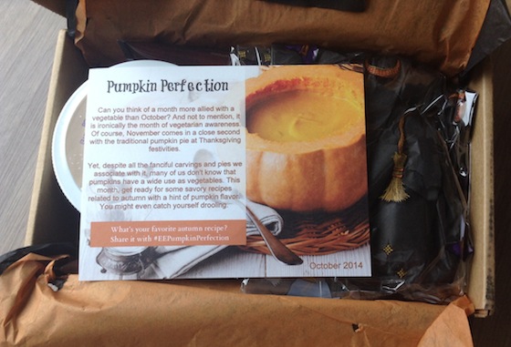 Eco Emi Deluxe Beauty Box Subscription Review - October 2014 Pumpkin