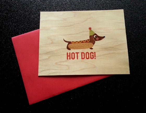 Pennie Post Subscription Review – October 2014 Hot Dog