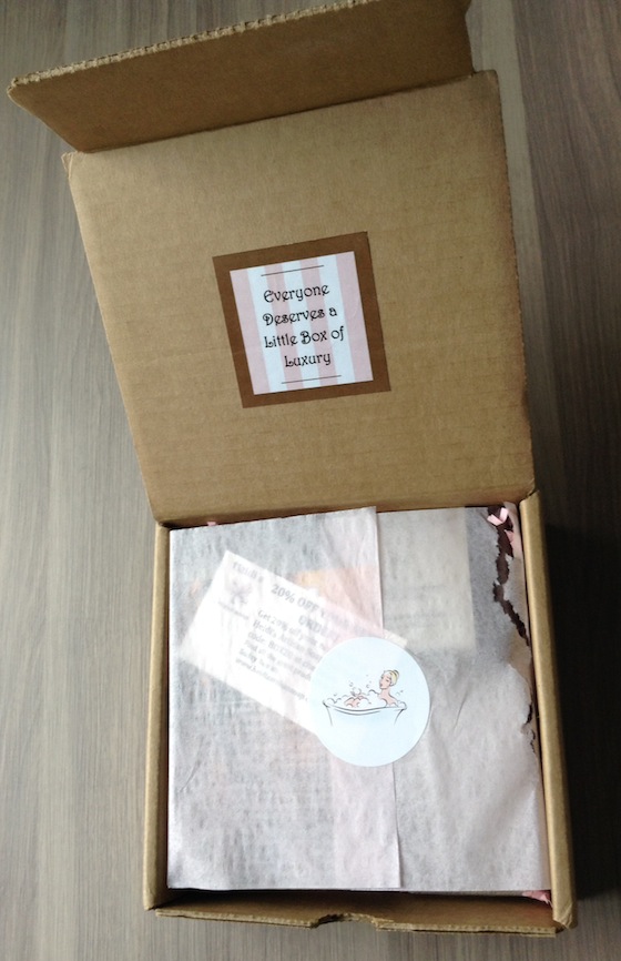 Sudsy Box Subscription Review – October 2014 First Look