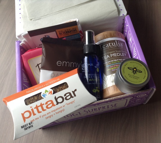 Yogi Surprise Subscription Box Review - October 2014 Items