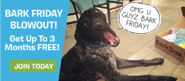 Barkbox black Friday Deal