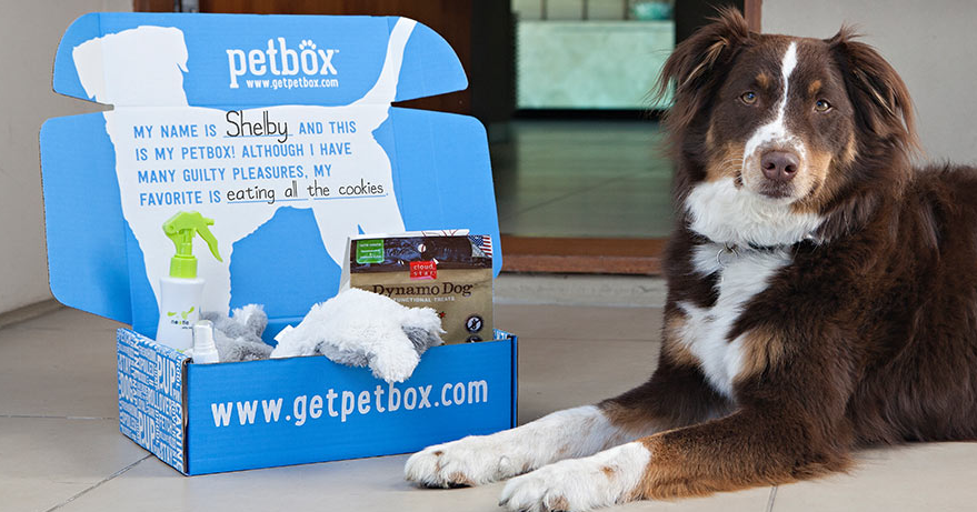Petbox Offer