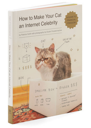 Cat Internet