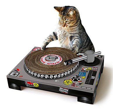 Cat DJ