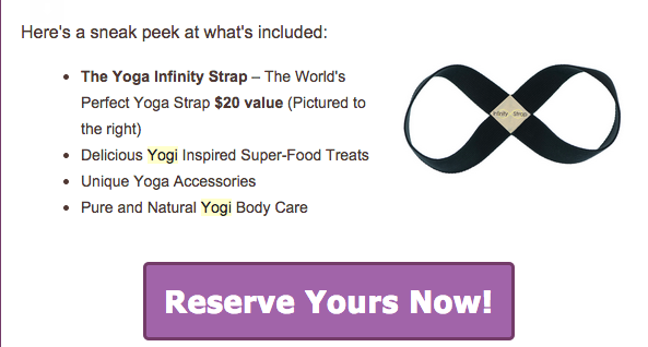 Yogi Surprise Holiday Box SPoiler